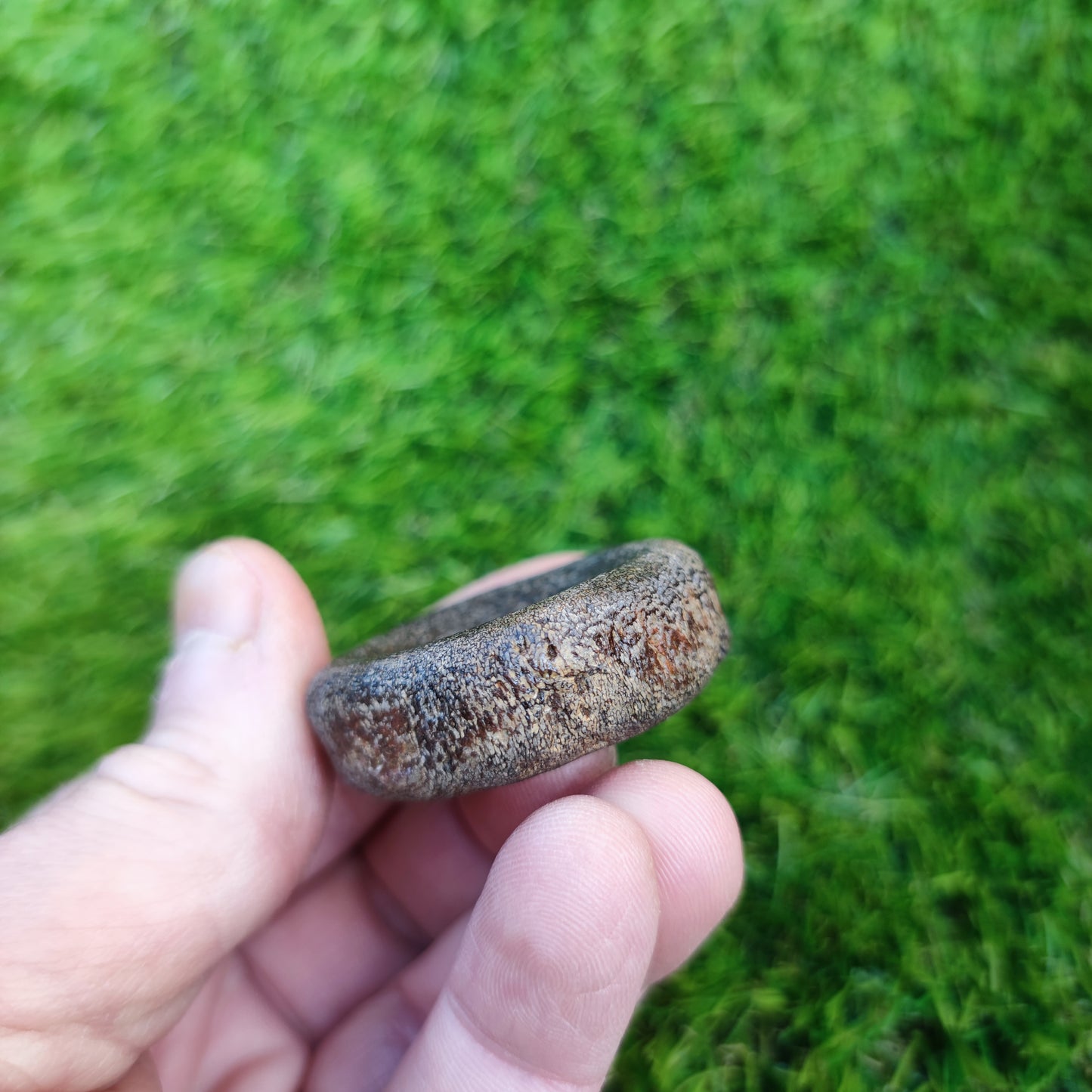 Ichthyosaur vertebra Charmouth Jurassic coast