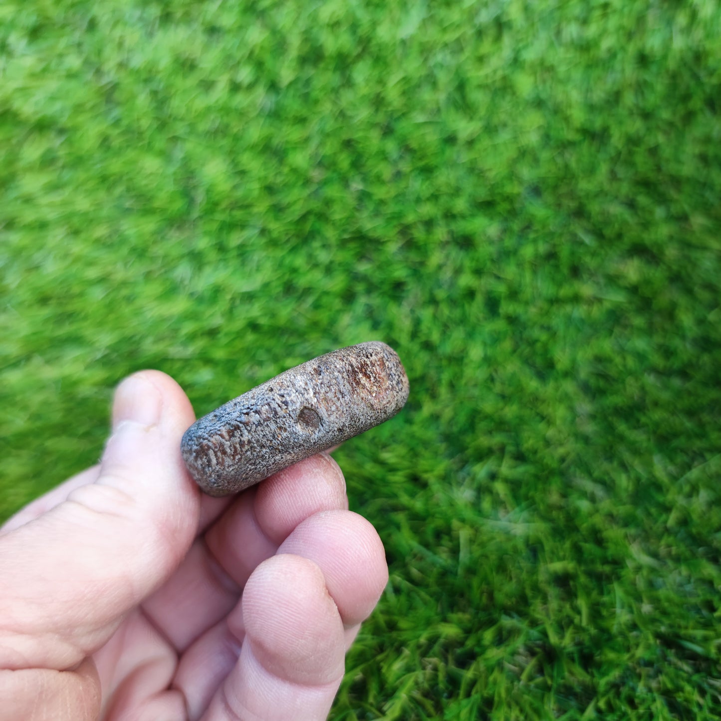 Ichthyosaur vertebra Charmouth Jurassic coast