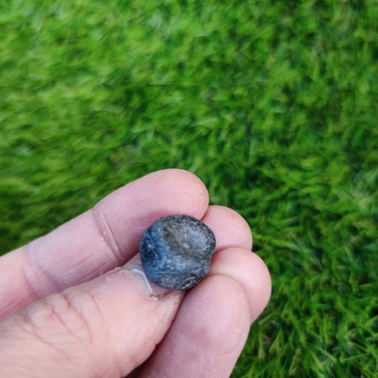 Ichthyosaur vertebra Lyme Regis Jurassic coast